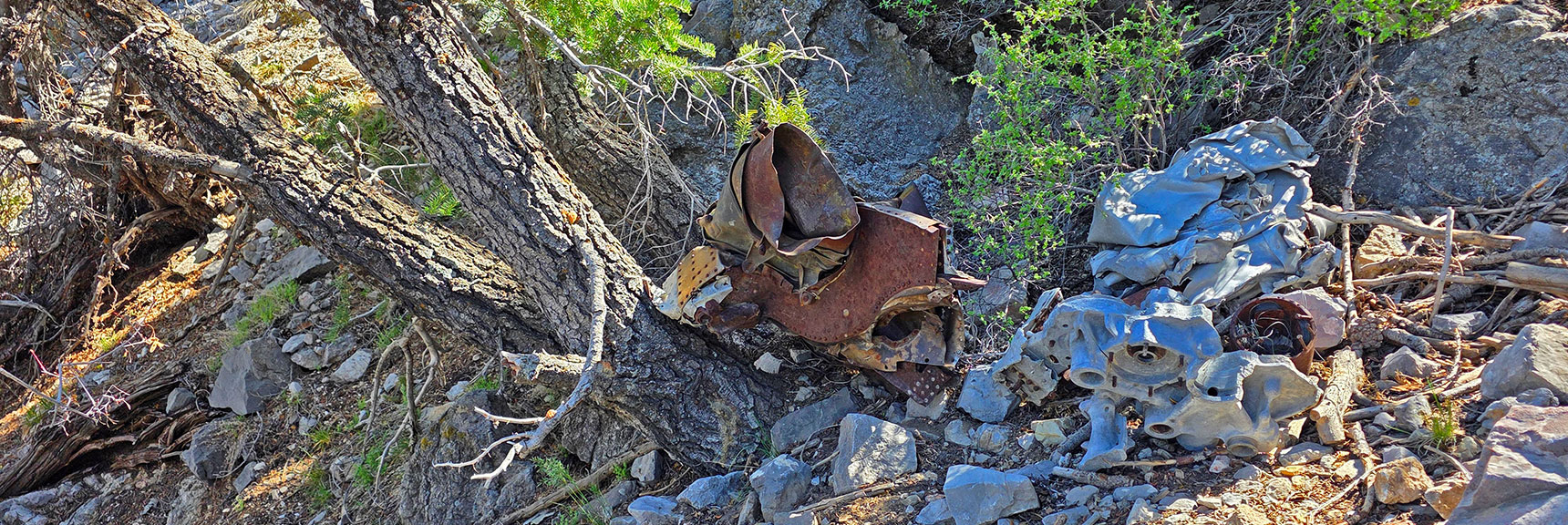 Descend to Gully Just Below. You'll Begin Coming Across Wreckage. | Carole Lombard Plane Crash Site | Potosi Mountain, Nevada