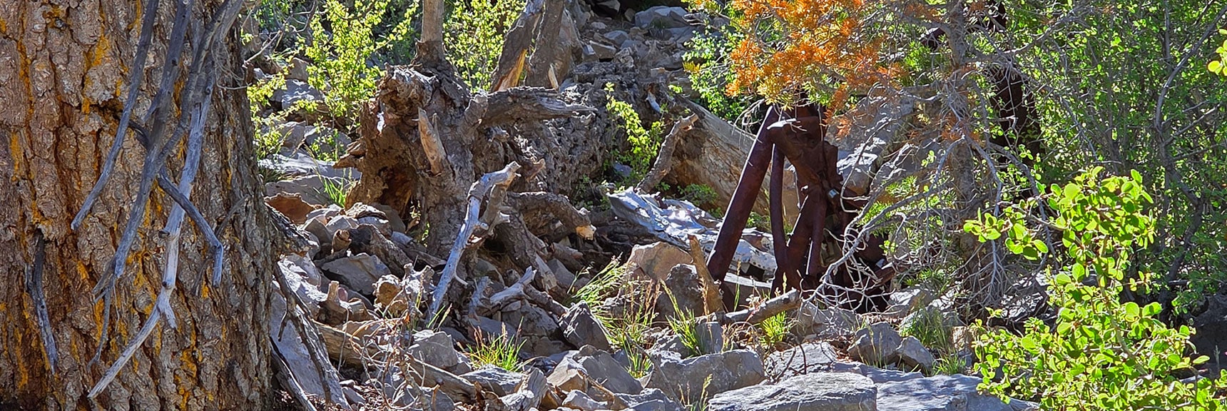 Ascending the Crash Gully Presents More Scattered Crash Debris. | Carole Lombard Plane Crash Site | Potosi Mountain, Nevada