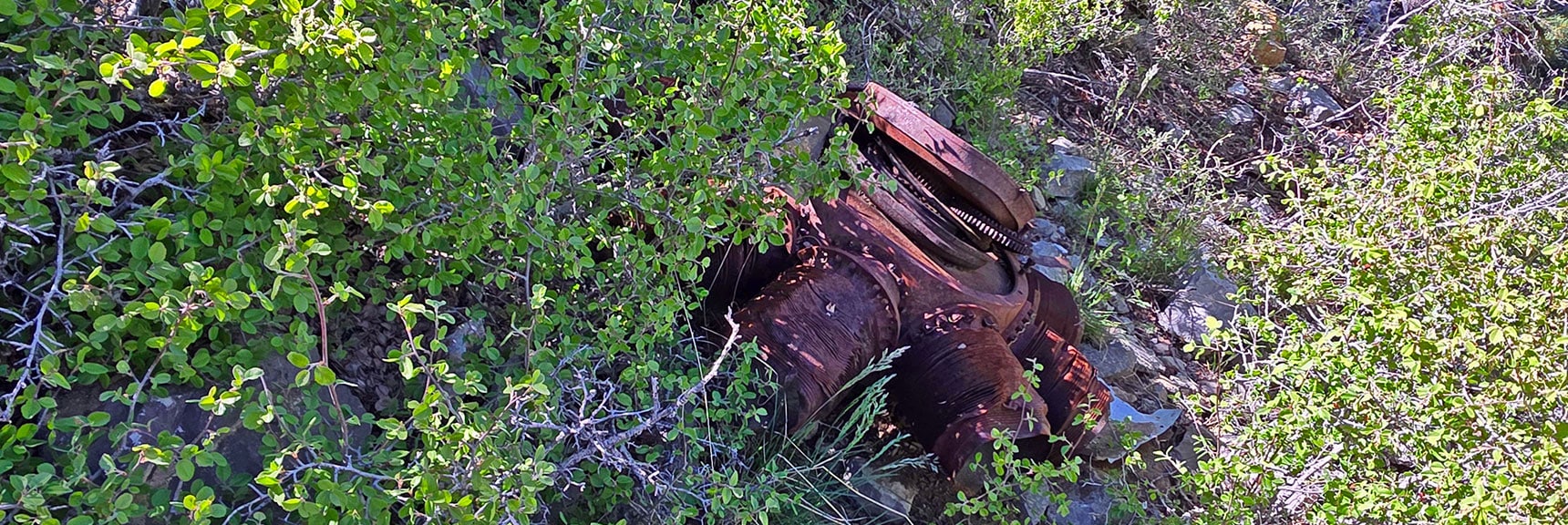 This is Possibly an Engine. Note Cooling Radiator and Propeller Gears. | Carole Lombard Plane Crash Site | Potosi Mountain, Nevada
