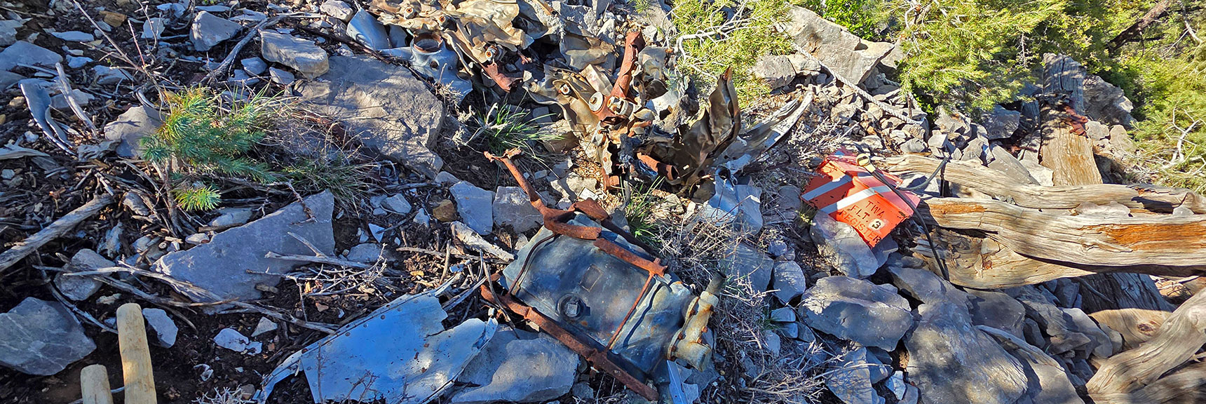 Crash Site Register Box Located Near Impact Cliffs | Carole Lombard Plane Crash Site | Potosi Mountain, Nevada