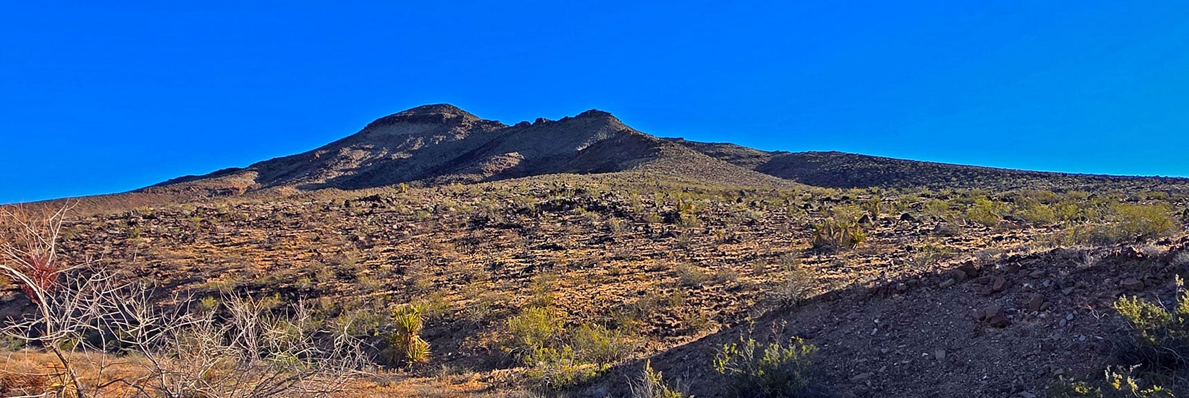 Peeper Benchmark's Inviting South Ascent Ridge from Upper Road F | Peak 2720 aka Calicone Peak | Eldorado Wilderness, Nevada