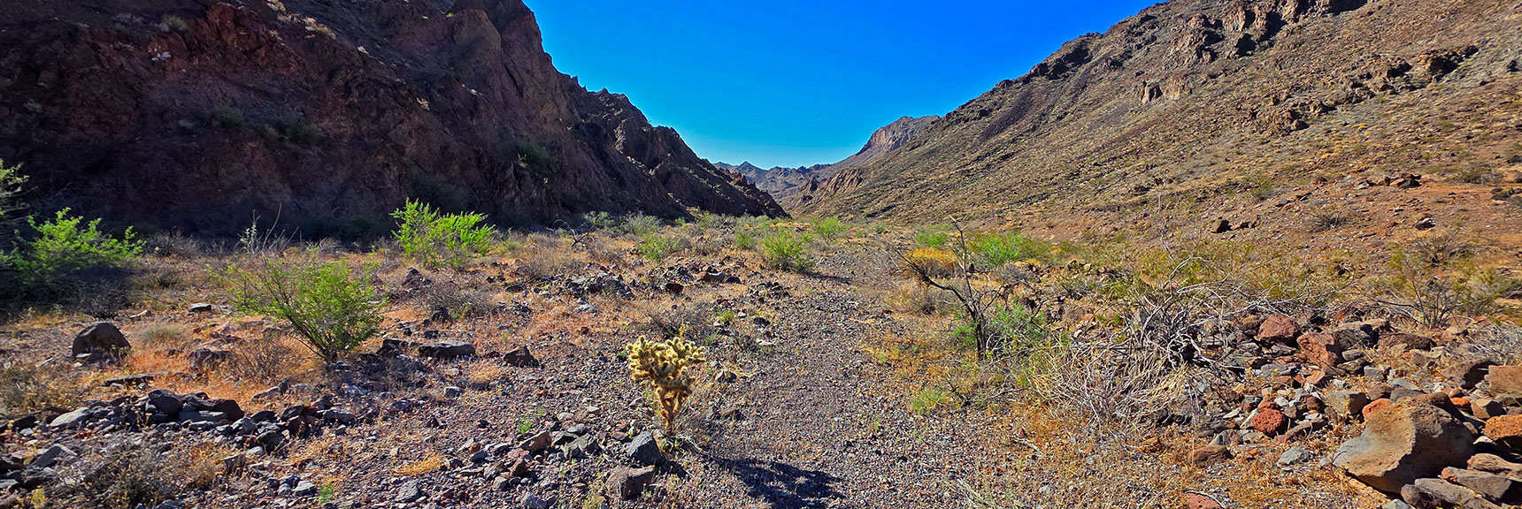 After Initial Steep Descent Things Level Off All the Way to Lower Lonesome Wash | Peak 2720 aka Calicone Peak | Eldorado Wilderness, Nevada