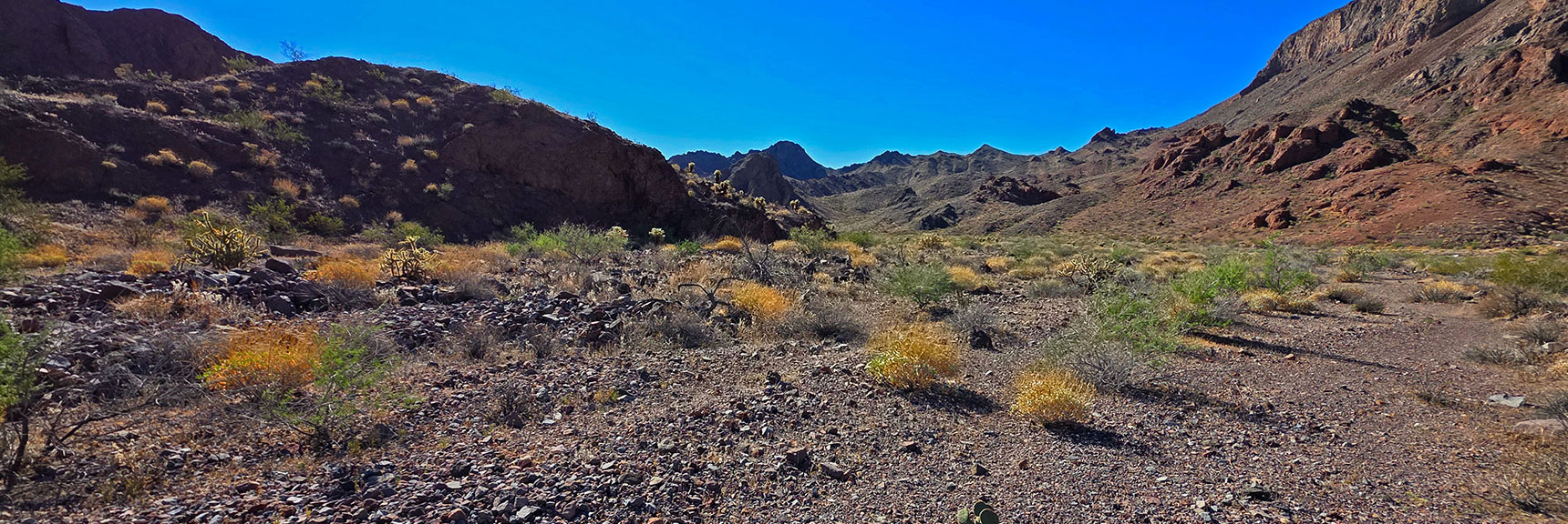 Lonesome Wash Approach Canyon Opening to Lonesome Wash. | Peak 2720 aka Calicone Peak | Eldorado Wilderness, Nevada