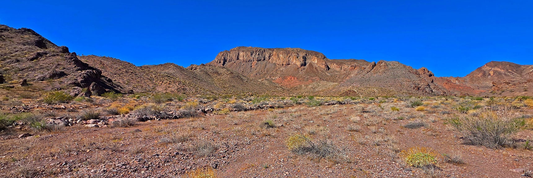 View Back Up to Peak 3320 on South Side of Wash | Peak 2720 aka Calicone Peak | Eldorado Wilderness, Nevada