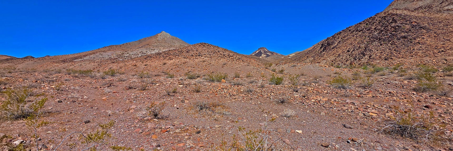 First View of Peak 2720 from Lonesome Wash 1 Mile from Colorado River | Peak 2720 aka Calicone Peak | Eldorado Wilderness, Nevada