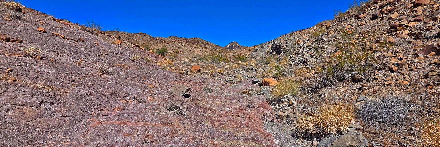 The Southern Approach Gully is Long, Narrow and Winding. | Peak 2720 aka Calicone Peak | Eldorado Wilderness, Nevada