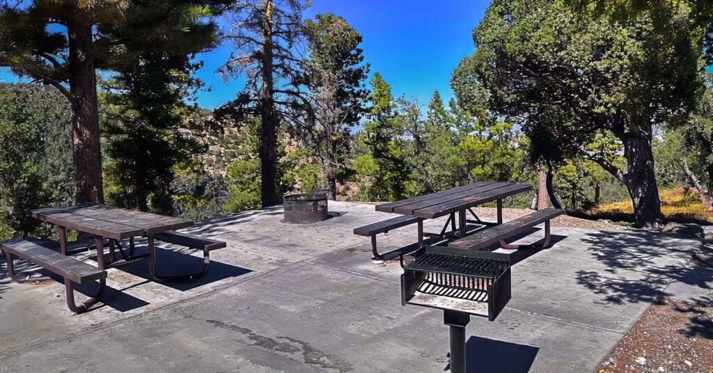 Deer Creek Road Area Camping | Mt Charleston Wilderness, Nevada