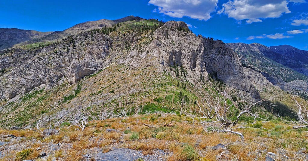 Harris Peak / Griffith Peak Saddle | Mt. Charleston Wilderness, Nevada