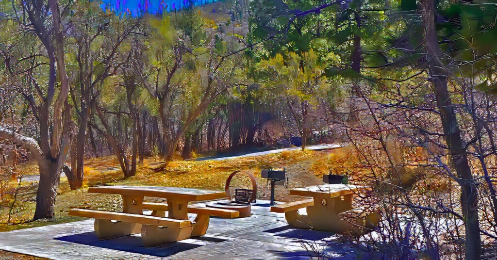 Picnic in Kyle Canyon | Kyle Canyon Picnic Area | Mt. Charleston Wilderness, Nevada