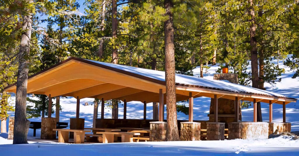 Picnic in Lee Canyon | Foxtail Group Picnic Area | Mt. Charleston Wilderness, Nevada