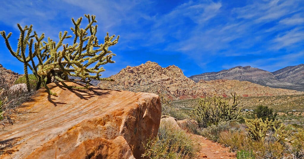 Rainbow Mountains Eastern Baseline Trails | Rainbow Mountain Wilderness, Nevada