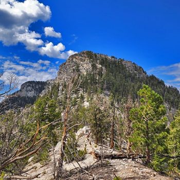 Sisters North | Lee Canyon | Mt Charleston Wilderness | Spring Mountains, Nevada