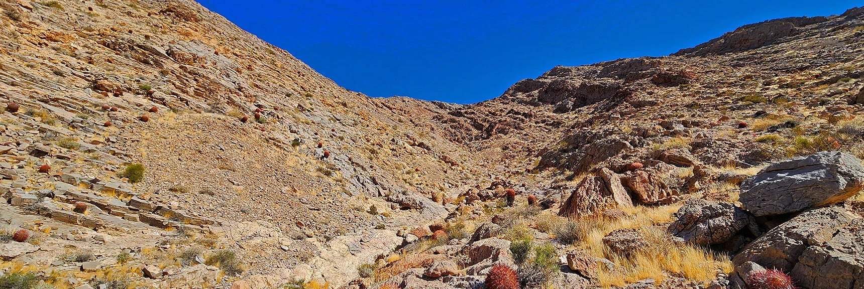 Continue Further Up Ascent Gully | Sunrise Mountain Near Lake Mead National Recreation Area | Las Vegas Metro & Surrounding Areas, Nevada