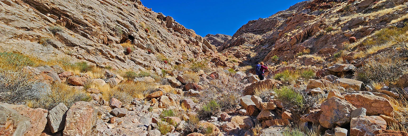 Main Sunrise Mt. Southern Ascent Gully | Sunrise Mountain Near Lake Mead National Recreation Area | Las Vegas Metro & Surrounding Areas, Nevada