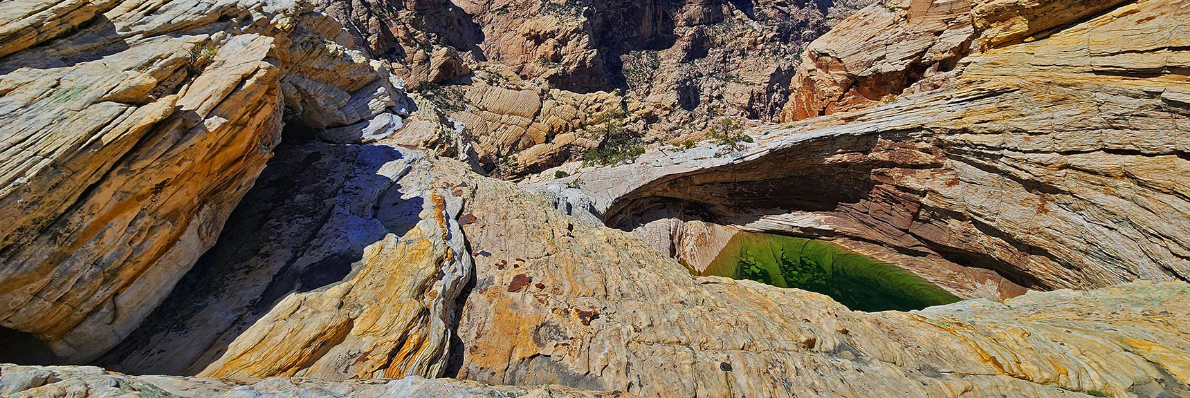 First of Two Beautiful Tinajas Above the Arch. | Bridge Mountain | Rainbow Mountain Wilderness, Nevada