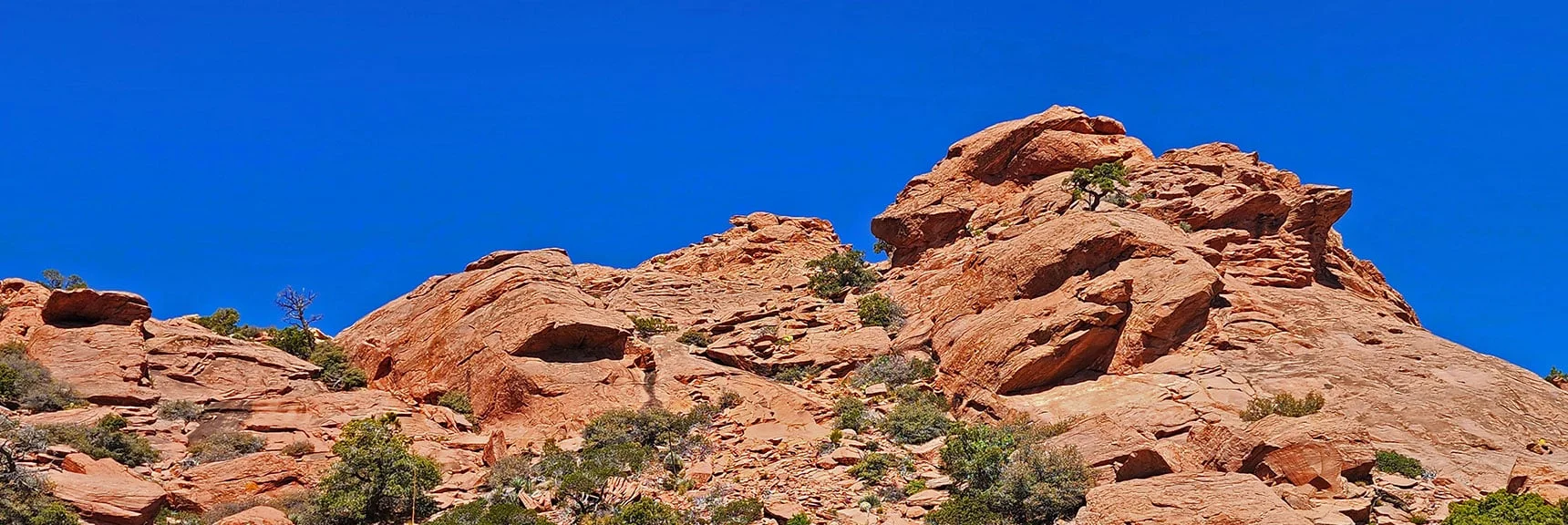 Beautiful Variations in the Sandstone Coloring. Aztec Red from Iron Oxidation. | Bridge Mountain | Rainbow Mountain Wilderness, Nevada
