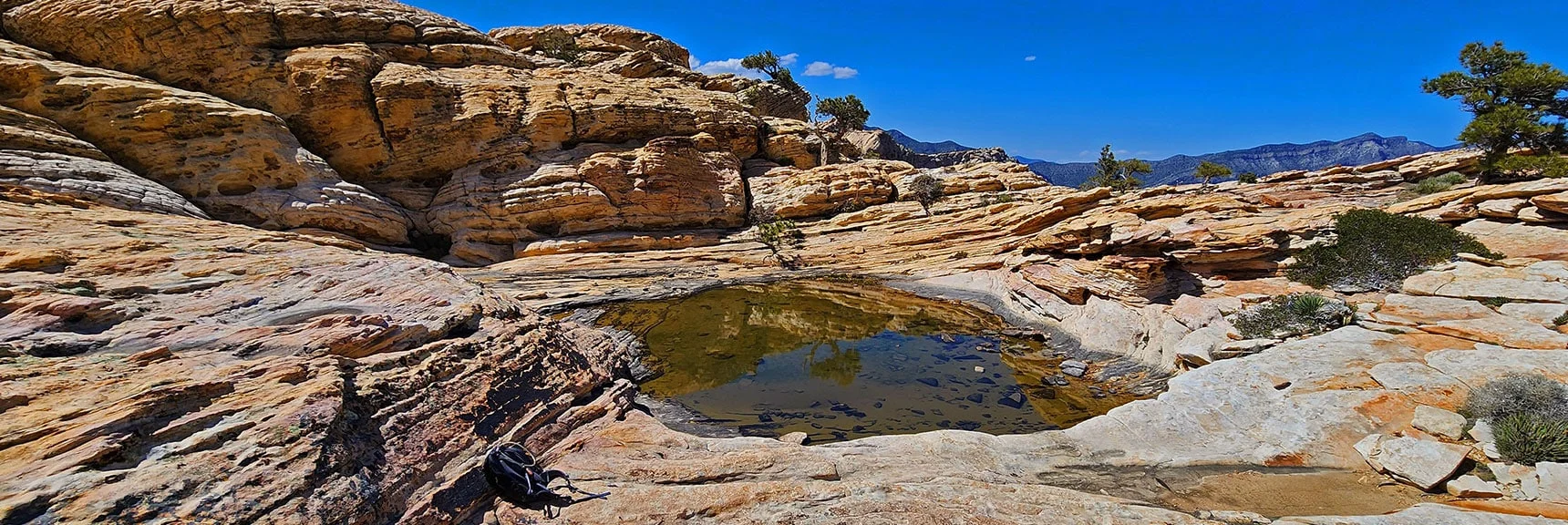 Second Tinaja Nestled in the Pine Dotted Sandstone. | Bridge Mountain | Rainbow Mountain Wilderness, Nevada
