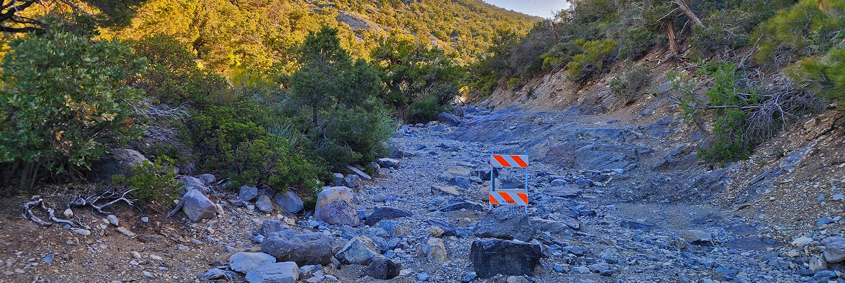 Great Route for Hiking or for Extreme Vehicles. Good Camping Along the Way. | Bridge Mountain | Rainbow Mountain Wilderness, Nevada