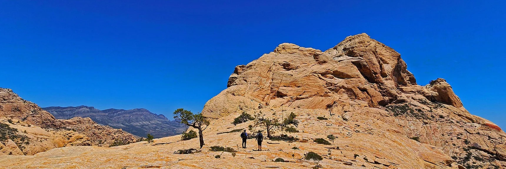 Continuing Toward Bridge Mt. | Bridge Mountain | Rainbow Mountain Wilderness, Nevada