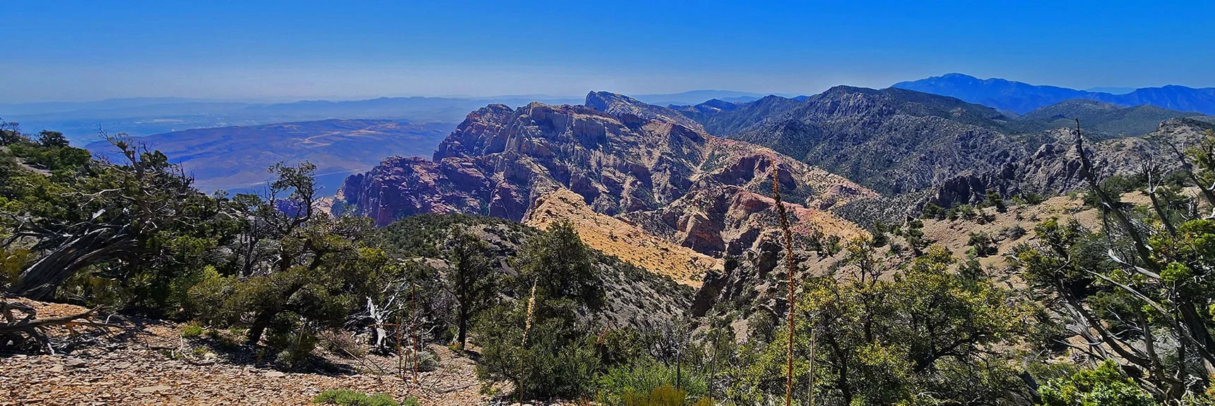 Rainbow Mt., Mt. Wilson, Upper Crest Ridgeline Stretching South to Potosi Mt. | Bridge Mountain | Rainbow Mountain Wilderness, Nevada