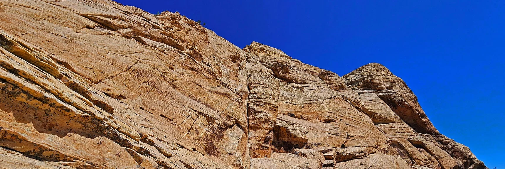Just Descended This Class 3 Stretch on the Descent Ridge | Bridge Mountain | Rainbow Mountain Wilderness, Nevada