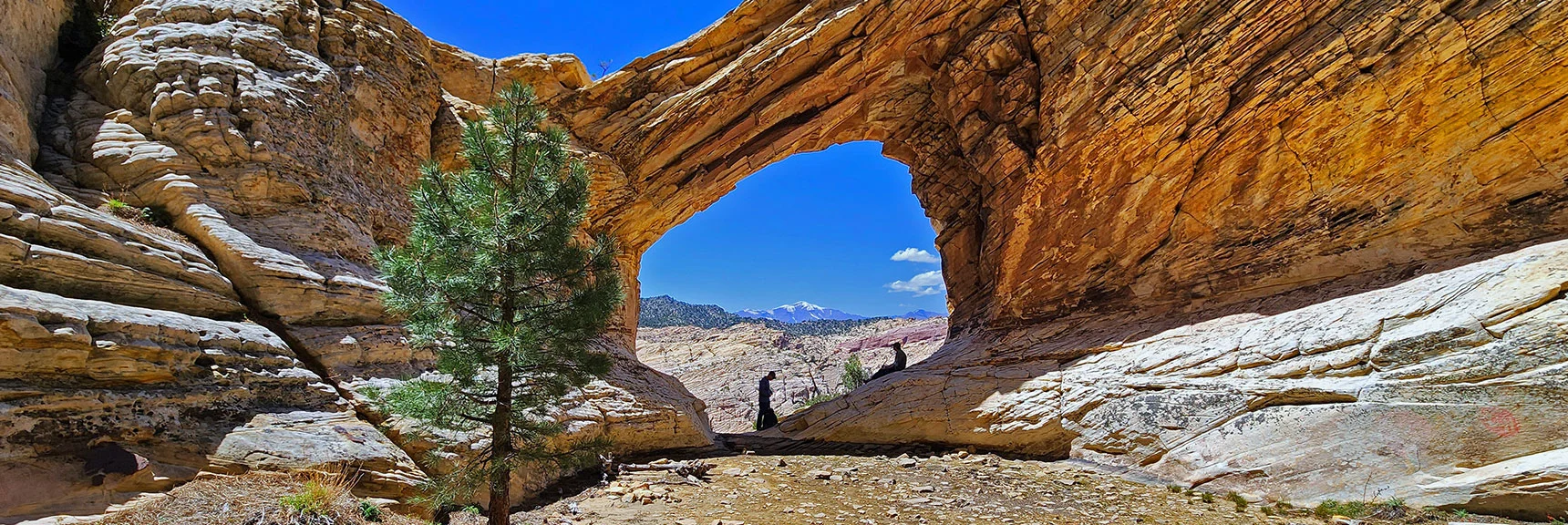 View from the Inner Bowl Outward Toward Griffith Peak. | Bridge Mountain | Rainbow Mountain Wilderness, Nevada