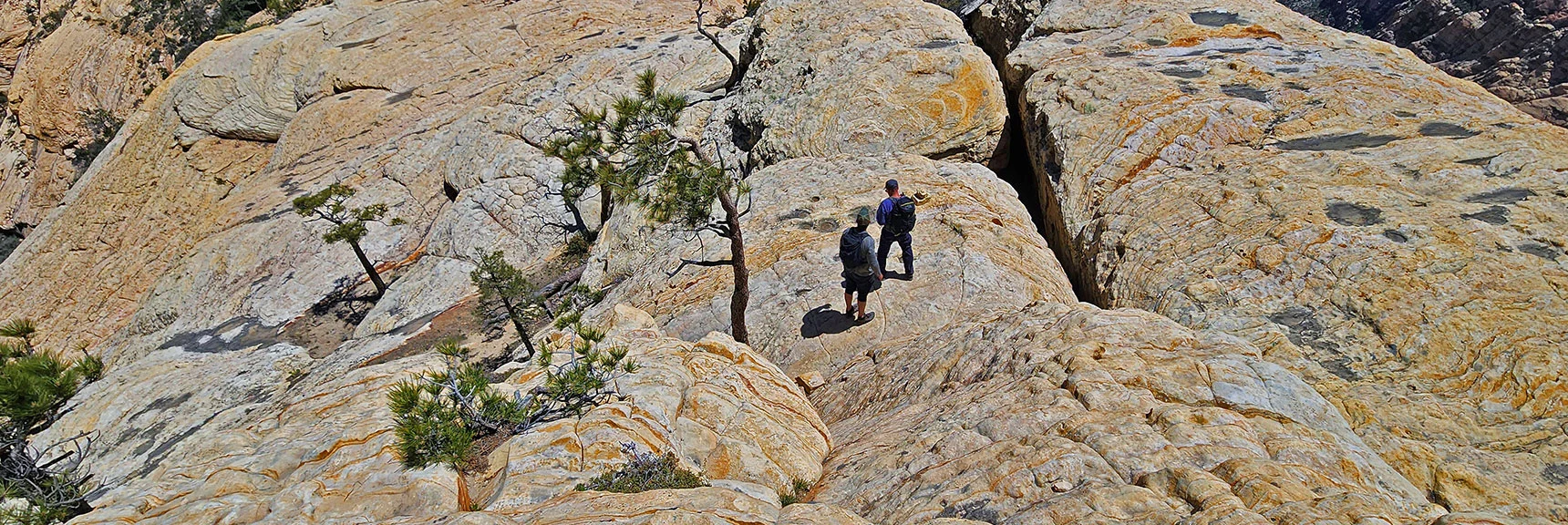Continuing Down Descent Ridge Toward Bridge Mt. Some Light Rock Scrambling. | Bridge Mountain | Rainbow Mountain Wilderness, Nevada