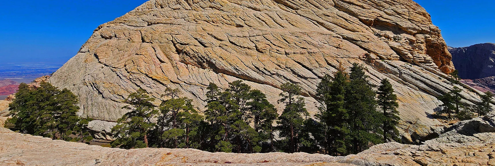 Hidden Forest and Final Summit Approach. | Bridge Mountain | Rainbow Mountain Wilderness, Nevada