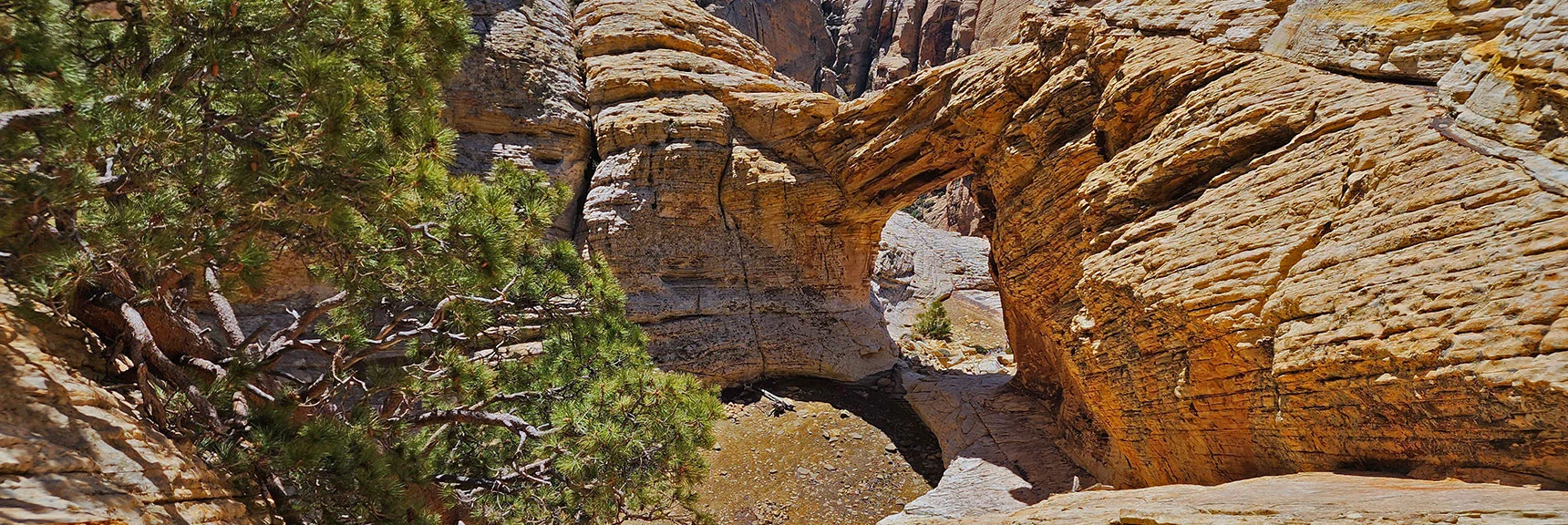 View to the Arch Bowl & Arch from Above. | Bridge Mountain | Rainbow Mountain Wilderness, Nevada