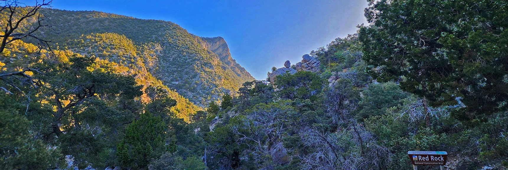View Up the Rocky Gap in the Wilson Ridge. Shortest Route to Bridge Mt. Trailhead | Bridge Mountain | Rainbow Mountain Wilderness, Nevada