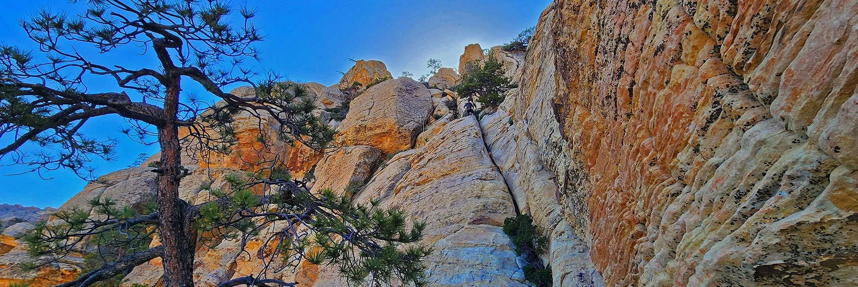 Here's a More Challenging Descent Chute with Good Anchoring in the Crack. | Bridge Mountain | Rainbow Mountain Wilderness, Nevada