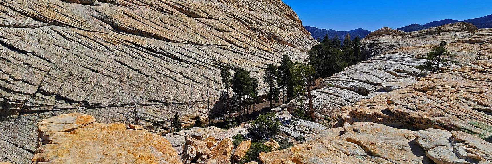 Final Summit Approach Switchbacks Begin from the Ponderosa Pine Hidden Forest | Bridge Mountain | Rainbow Mountain Wilderness, Nevada