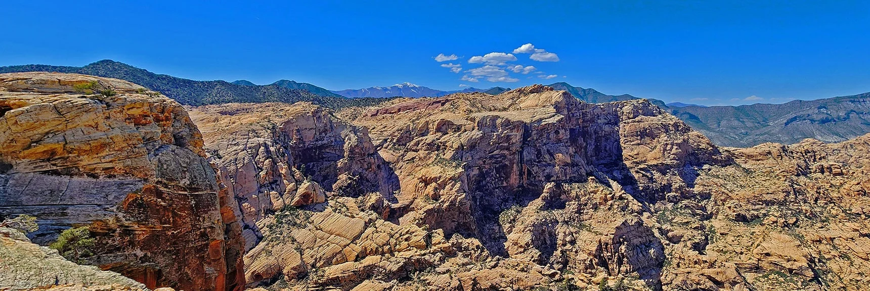 View North Toward North Sandstone Peak Area & La Madre Ridgeline | Bridge Mountain | Rainbow Mountain Wilderness, Nevada