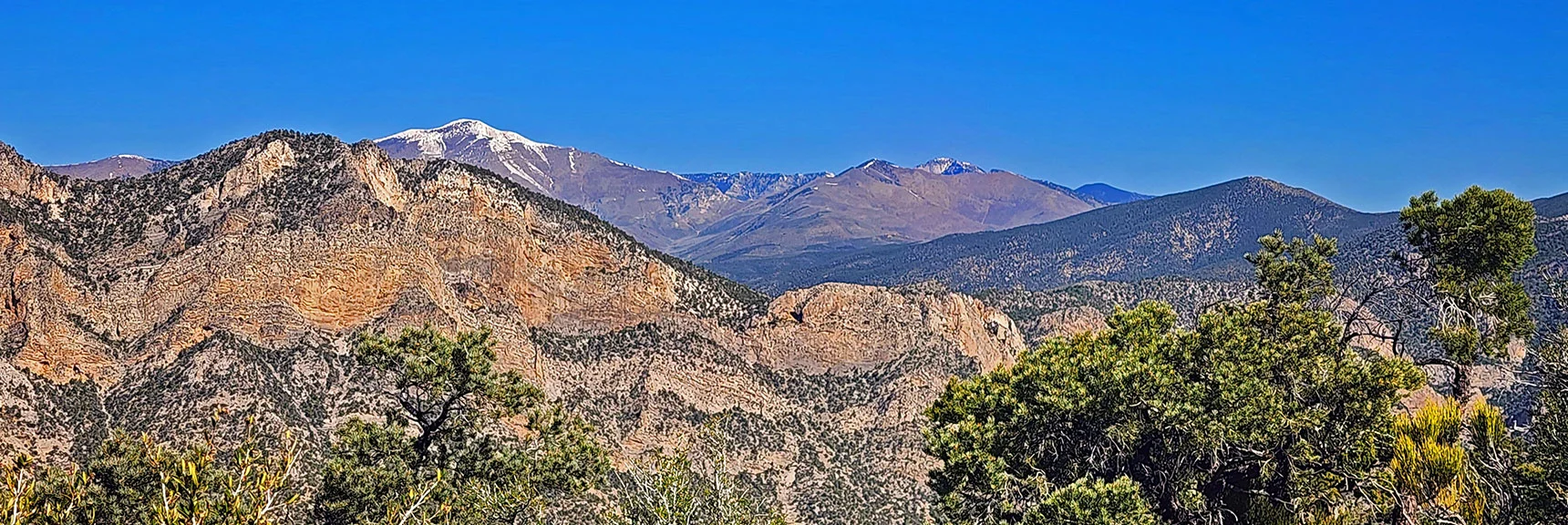 Enlarged View of Griffith Peak, Harris Mt., Saddle & Upper Wilson Ridge. | Bridge Mountain | Rainbow Mountain Wilderness, Nevada