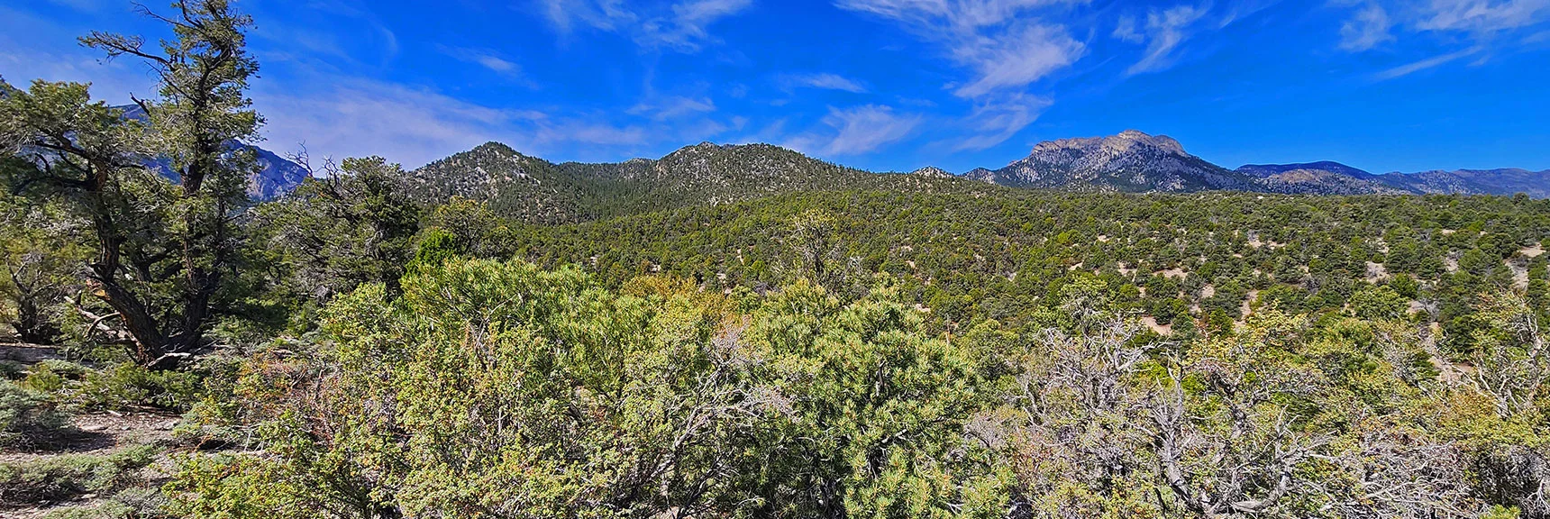 Sisters & Macks Peak Line Left (SW) Side of Loop | Mud Springs Loop Counterclockwise | Lee Canyon | Mt. Charleston Wilderness, Nevada