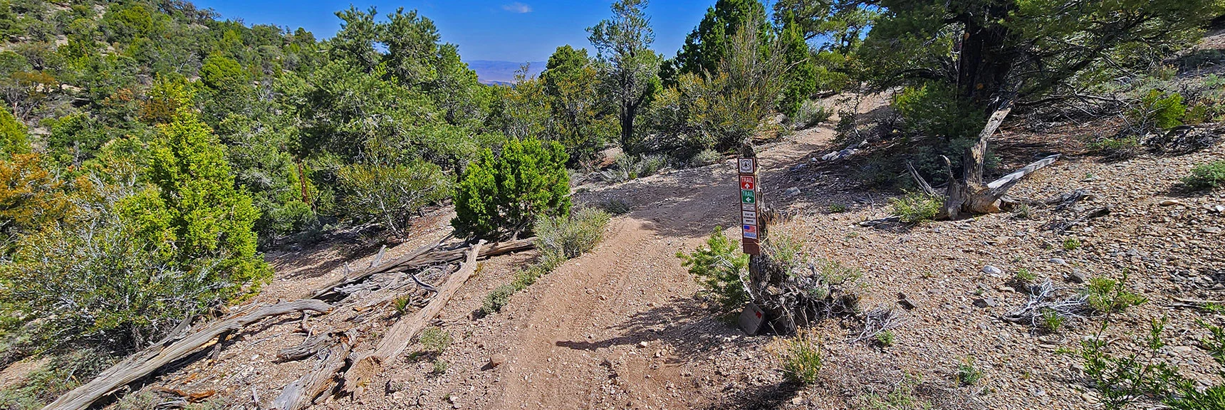 Left (Green) Here for Mud Springs Loop; Right (Red) for Pine Tree Loop | Mud Springs Loop Counterclockwise | Lee Canyon | Mt. Charleston Wilderness, Nevada