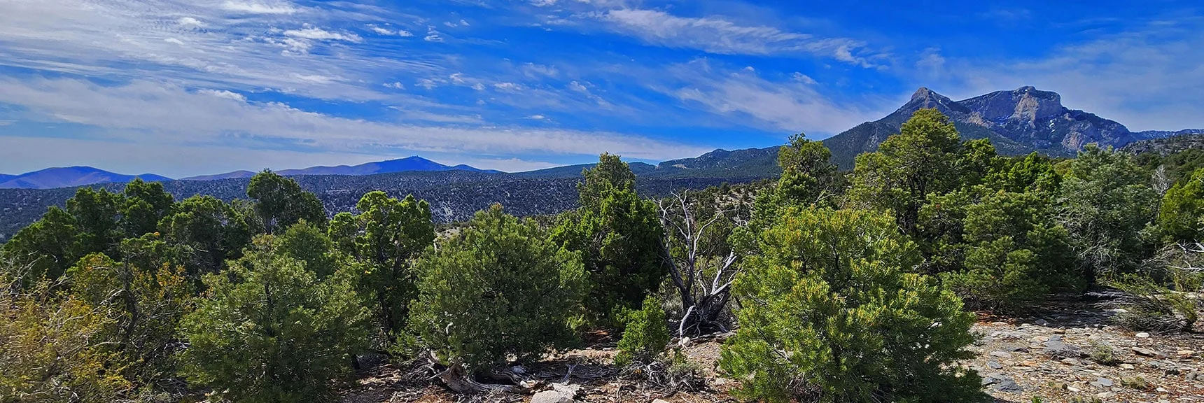 Look Back to Mummy's Head (right): Always Guide Back to Trailhead if You're Lost | Mud Springs Loop Counterclockwise | Lee Canyon | Mt. Charleston Wilderness, Nevada