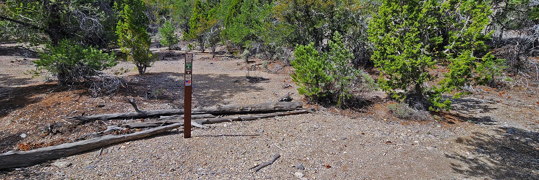 Right in Gully Continues on Green Mud Springs Loop Trail. GPS Goes Dark Here. | Mud Springs Loop Counterclockwise | Lee Canyon | Mt. Charleston Wilderness, Nevada