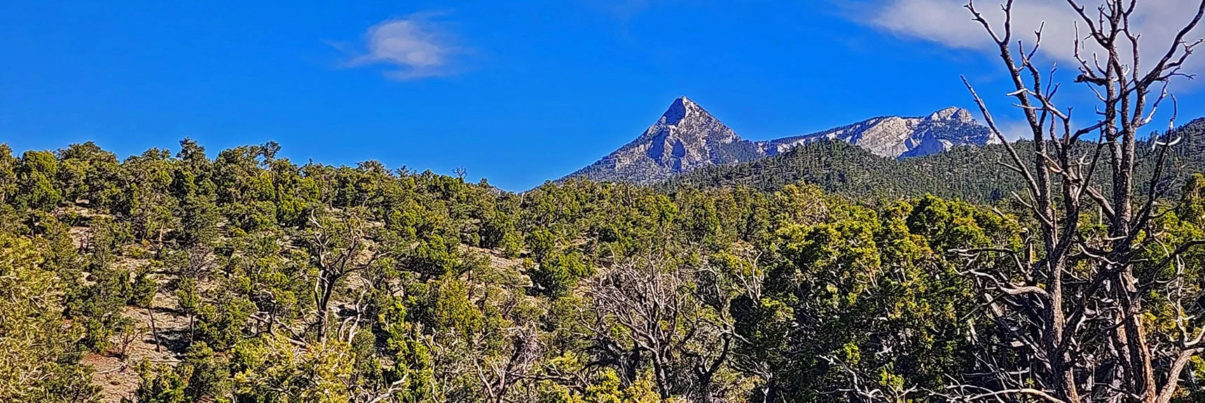 I Left Loop Gully Stretch, Thought I Was Off Course. Ascended Ridge, Headed Toward Mummy's Head | Mud Springs Loop Counterclockwise | Lee Canyon | Mt. Charleston Wilderness, Nevada