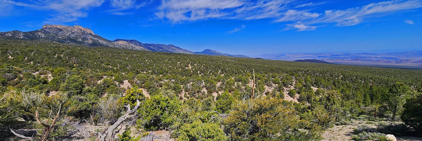 Hwy 95 Corridor Valley & Sheep Range Line Right (NE) Side of Loop | Mud Springs Loop Counterclockwise | Lee Canyon | Mt. Charleston Wilderness, Nevada