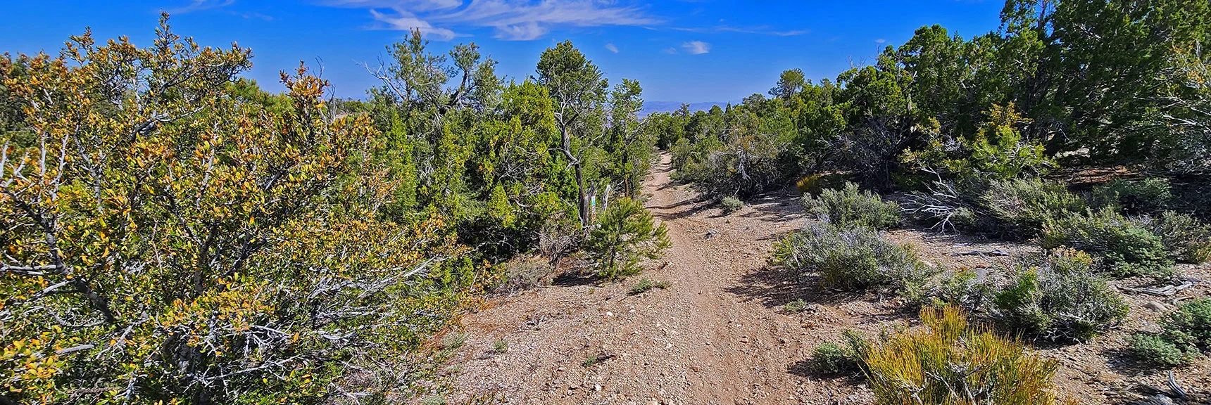 Heading Toward Hwy 95 Valley Corridor (Ahead in Distance) | Mud Springs Loop Counterclockwise | Lee Canyon | Mt. Charleston Wilderness, Nevada