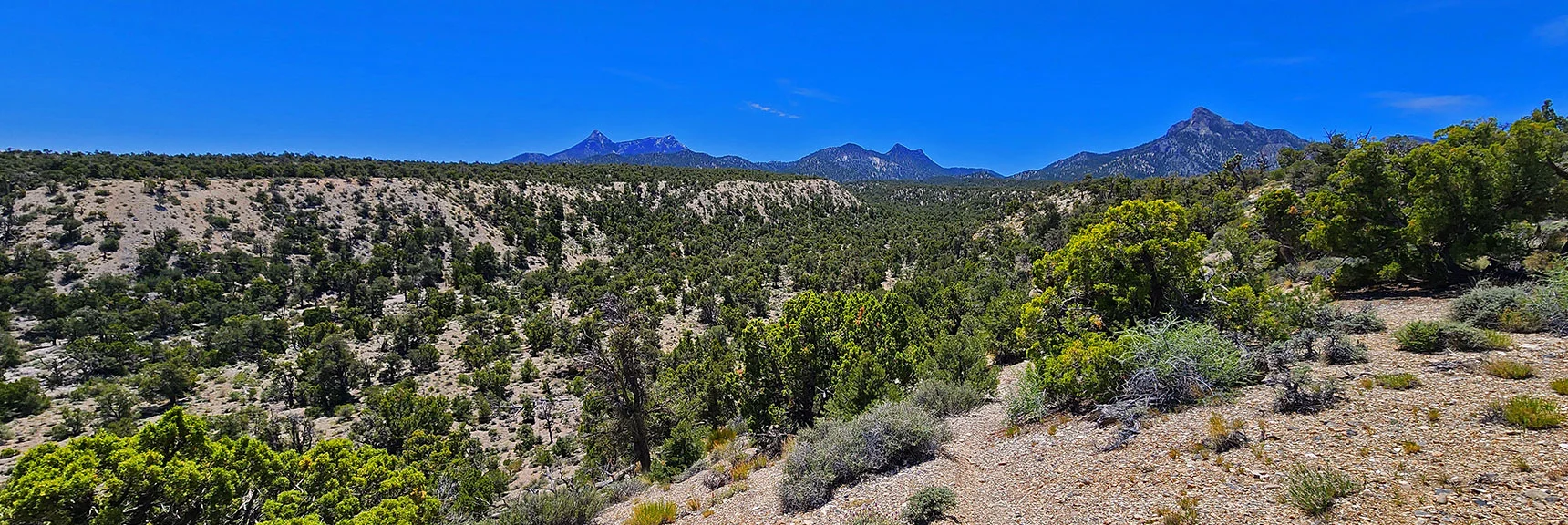 SW Side of Loop Bordered by Mummy's Head, Sisters and Macks Peak Reference Markers When Visible. | Mud Springs Loop Counterclockwise | Lee Canyon | Mt. Charleston Wilderness, Nevada