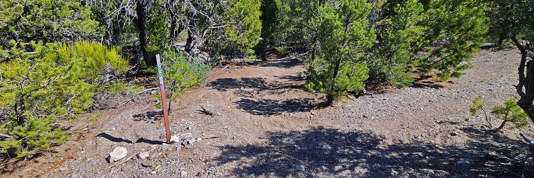 First Sign in About 10 Miles! Right Turn for Mack's Canyon Rd.; Left Continues on Loop | Mud Springs Loop Counterclockwise | Lee Canyon | Mt. Charleston Wilderness, Nevada