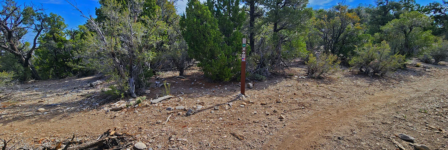 Loop Clockwise Entrance at Low Point in Ridge. Bypass This for Counterclockwise Loop. | Mud Springs Loop Counterclockwise | Lee Canyon | Mt. Charleston Wilderness, Nevada