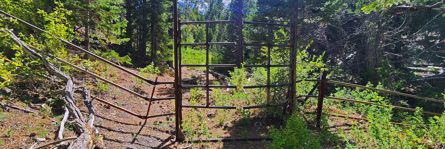 Road Soon Ends at This Fence. Pass Through, Then Watch for Yellow Ribbon Guides. | Mud Springs Loop Counterclockwise | Lee Canyon | Mt. Charleston Wilderness, Nevada