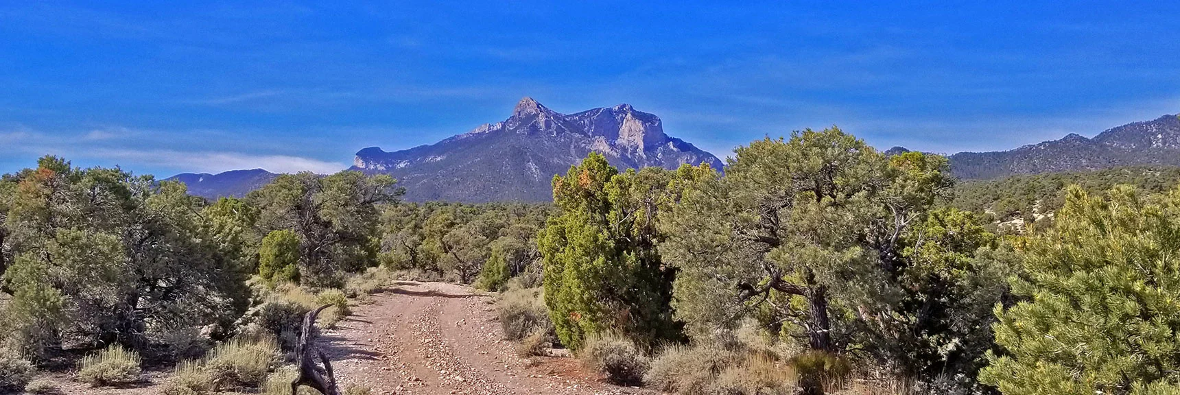 Circling Around for Another Brief View of Mummy's Head | Pinyon Pine Loop Trail | Sawmill Trailhead | Lee Canyon | Mt Charleston Wilderness | Spring Mountains, Nevada