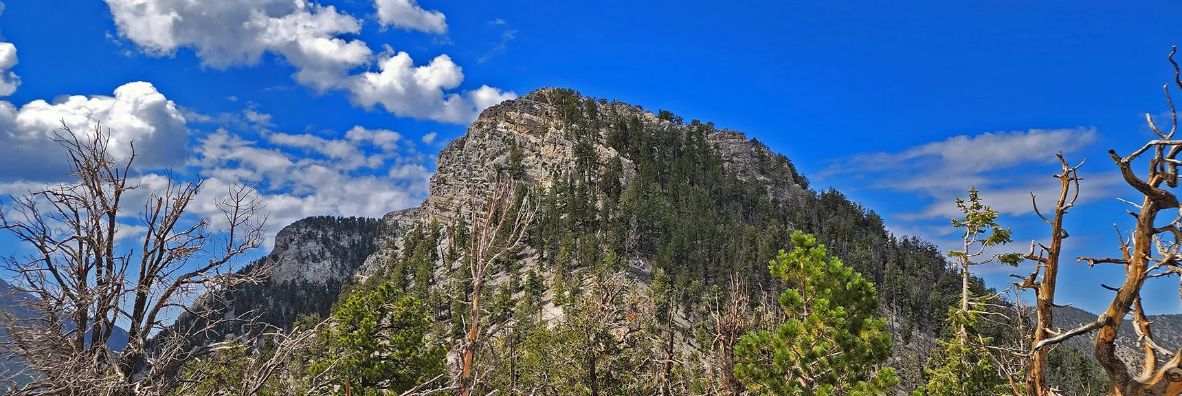 View Back Toward Sisters North and Sisters South Summits from Saddle North of Sisters North | Sisters North | Lee Canyon | Mt Charleston Wilderness | Spring Mountains, Nevada