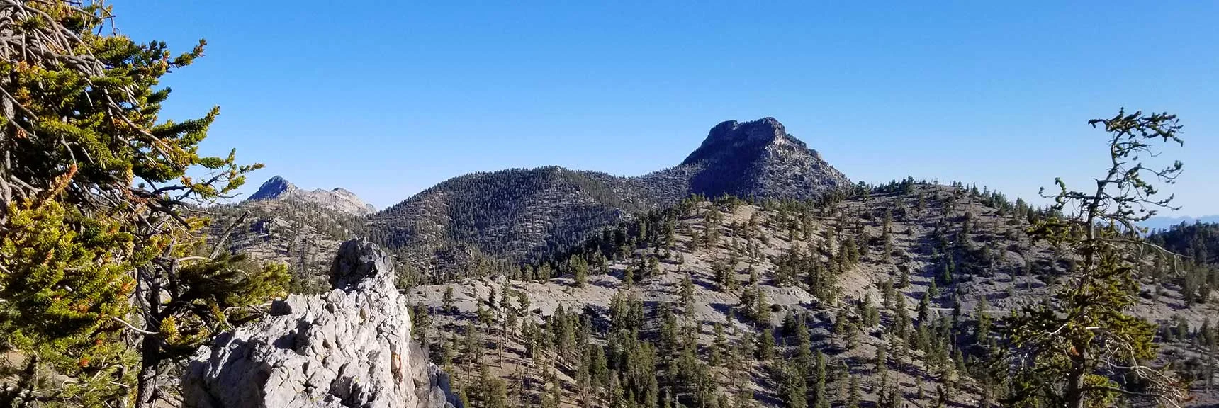 A 9453ft Rocky Peak Viewed from the Bristlecone Pine Trail in Mt. Charleston Wilderness, Nevada