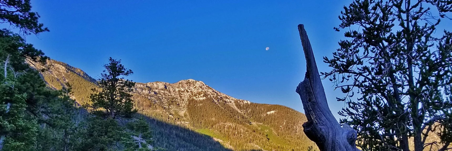 Dawn View of Lee Peak from the Mid-Ridge. Notice the Moon Above. | Lee Peak Summit via Lee Canyon Mid Ridge | Mt. Charleston Wilderness | Spring Mountains, Nevada
