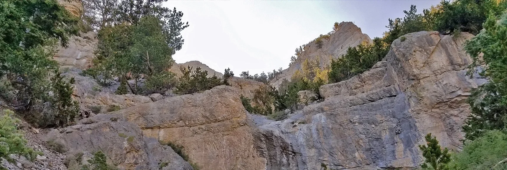 Barrier Cliff in the Summit Approach Wash - Navigate Left Slopes | Mummy Mountain Summit Approach from Lee Canyon | Mt. Charleston Wilderness | Spring Mountains, Nevada